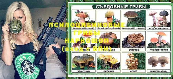 крисы Арсеньев