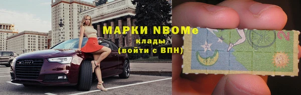 PSILOCYBIN Аркадак