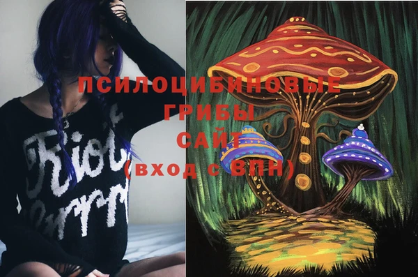 крисы Арсеньев