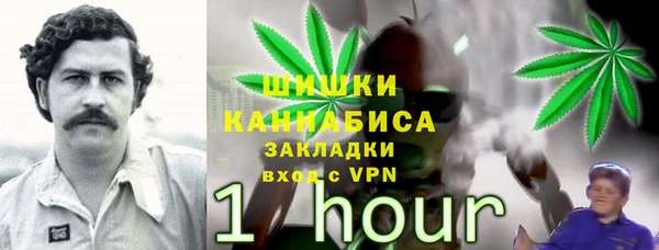 PSILOCYBIN Аркадак