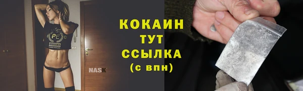 PSILOCYBIN Аркадак