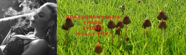 спиды Армянск