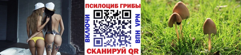 площадка телеграм  закладки  Узловая  Псилоцибиновые грибы мухоморы  omg  