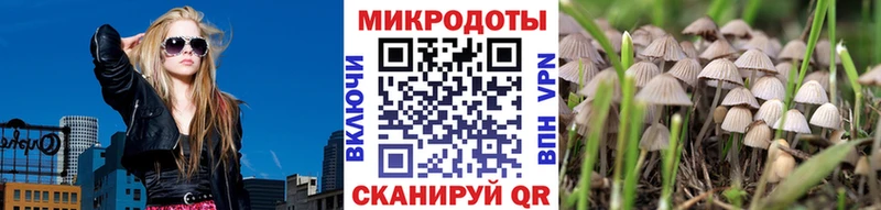 Галлюциногенные грибы прущие грибы Узловая